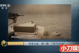 坦克大战纪录片《坦克大战/最伟大的坦克战 Greatest Tank Battles》全19集 汉语中字 央视翻译版 1080i高清/45.8G百度网盘下载