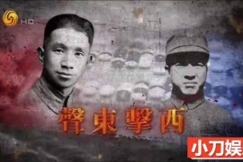 历史人文纪录片《凤凰大视野2018》全48部 720P/1080i高清纪录片百度网盘下载