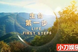 生命诞生纪录片《生命第一步 Life First Steps》全3集中字 TS/蓝光高清纪录片百度网盘下载