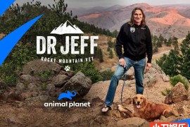 动物救治纪录片《热血兽医师 Dr. Jeff：Rocky Mountain Vet》第2季全12集 英语外挂中字 官方纯净版 1080P/MKV/28.8G 落基山兽医百度网盘下载