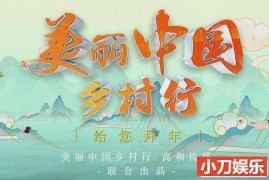 乡村旅行纪录片《美丽中国乡村行2016》合集 标清纪录片百度网盘下载