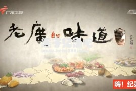 [老广的味道][广东卫视纪录片][国语中字][第一季 全5集] 720P纪录片下载
