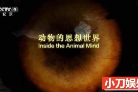 BBC自然生物纪录片《动物的思想世界 Inside the Animal Mind》全3集中字 TS/蓝光高清纪录片百度网盘下载