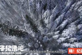 《地球脉动/行星地球2006》第一季全11集 国语/英语配音中文字幕 1080P超清下载