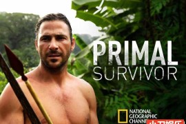 国家地理荒野求生纪录片《原始求生记 Primal Survivor》第2季全6集中字 纪录片解说素材 1080P/MKV/23.5G百度网盘下载