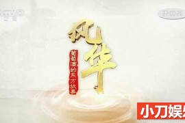 央视葡萄酒产业纪录片《风华-葡萄酒的东方故事》全1集 TS/蓝光高清纪录片百度网盘下载