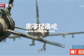 《空中格斗 Dogfights 2013》纪录片全10集 中英双字 720P高清下载