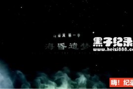 [古墓派:海昏遗梦2020][考古纪录片][全6集][国语配音中文字幕] 1080P下载