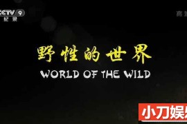 央视自然生态纪录片《野性的世界 World of the Wild》全6集中字 TS/蓝光高清纪录片百度网盘下载