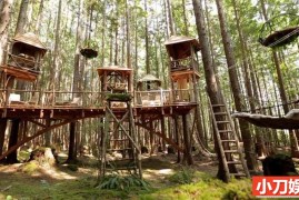 建筑设计纪录片《树屋大师 Treehouse Masters》第4季全10集 英语中英双字 官方纯净版 1080P/MP4/24.16G 树屋建造---百度网盘下载