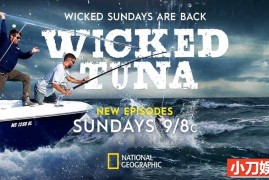 国家地理捕鱼生死战纪录片《狡猾黑鲔殊死战 Wicked Tuna 2023》第11季全20集 英语多国中字 1080P/MP4/39.2G百度网盘下载