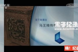 [马王堆传奇][央视纪录片][全2集][国语配音中文字幕] 1080P下载