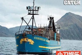 探索频道捕捞帝王蟹纪录片《渔人的搏斗 Deadliest Catch》第1季原版无字 标清纪录片百度网盘下载