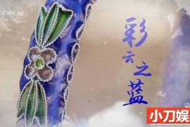 珐琅工艺纪录片《彩云之南》全1集 TS/蓝光高清纪录片百度网盘下载