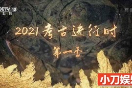 央视历史考古纪录片《2021考古进行时》第1季 TS/蓝光高清纪录片百度网盘下载