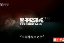 [中国神秘的木乃伊][全纪实纪录片][全1集][英语配音中文字幕] 720P下载