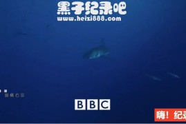 [碧海狂鲨/鲨鱼][3集][BBC][原声配音中英双字幕]720P下载