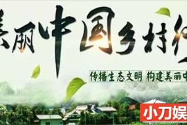 乡村旅行纪录片《美丽中国乡村行2015》合集 标清纪录片百度网盘下载