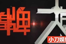 社会人文纪录片《皇牌大放送2017》合集 720P/1080i高清纪录片百度网盘下载