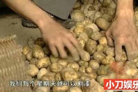 社会人文纪录片《中国民间生存实录 漆》全1集 标清纪录片百度网盘下载