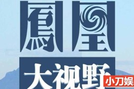 历史人文纪录片《凤凰大视野2021》合集 720P高清纪录片百度网盘下载