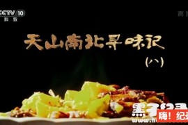 《天山南北寻味记 2019》全8集 国语配音中文字幕 1080P超清下载