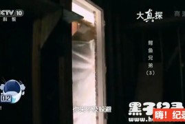 [鳄鱼兄弟][8集][央视大真探][国语配音中文字幕]1080P下载