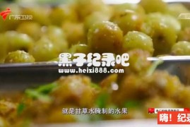 [老广的味道][广东卫视美食纪录片][第四季 全6集][国语配音中文字幕] 720P纪录片下载