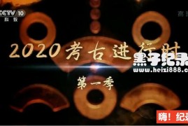 [2020考古进行时][央视考古纪录片][第一季 全7集][国语配音中文字幕] 1080P下载