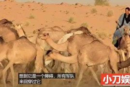 猎奇之旅纪录片《环球人文旅行见闻》第3季中字 1080P高清自媒体解说素材百度网盘下载