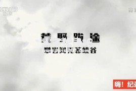 [荒野跋途/跋途西疆][4集][央视纪录片][国语配音中文字幕]1080P下载