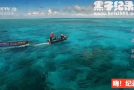 《南海南海 2019》纪录片全6集 国语配音无字幕 1080P超清下载