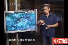 央视科学揭秘纪录片《走近科学》2009合集 标清纪录片百度网盘下载