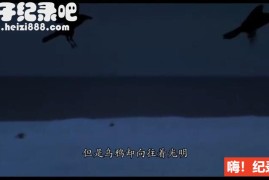 《白色星球 2006》纪录片 国语配音中文字幕 豆瓣8.7 720P高清下载