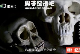 《与摩根·弗里曼一起穿越虫洞》纪录片1~5季 48集全 英语配音中文字幕 720P高清下载