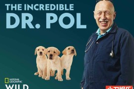 国家地理妙手兽医纪录片《动物神医 The Incredible Dr.Pol 2022》第5季全10集 英语多国中字 官方纯净版  1080/MKV/25.9G 妙手兽医日记百度网盘下载