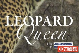 非洲野生动物纪录片《花豹女王 Leopard Queen》全1集中字 TS/蓝光高清纪录片百度网盘下载