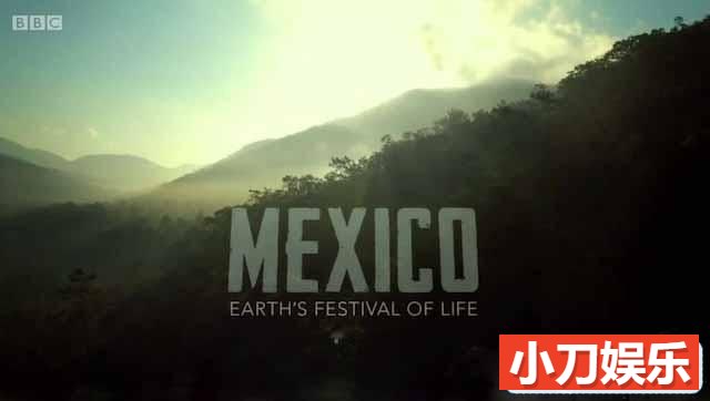 BBC自然生态纪录片《墨西哥:地球上的生命狂欢 Mexico-Earth’s Festival of Life》全3集 720P/1080i高清纪录片插图