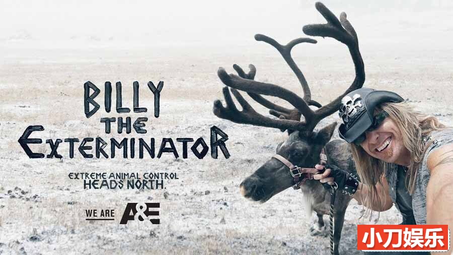 捕猎纪录片《灭虫大师 Billy the Exterminator》第4季全12集 英语中英双字 官方纯净版 1080P/MKV/26G插图