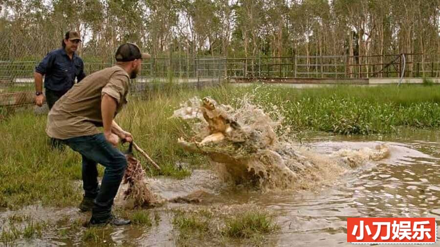 Netflix野生动物保护纪录片《野鳄之境 Wild Croc Territory 2022》第1季全10集 英语多国中字 官方纯净版 1080P/MKV/14.8G插图