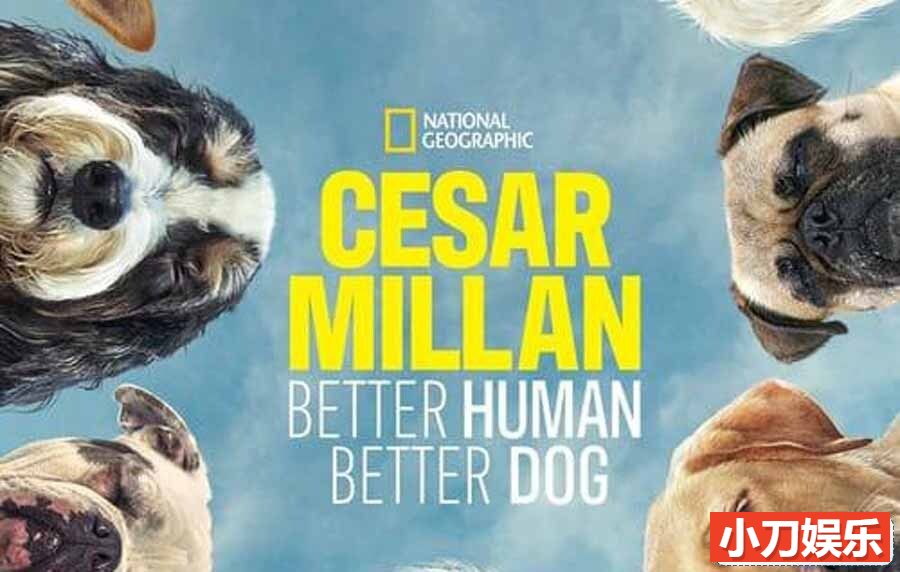 国家地理宠物狗训练纪录片《西泽教官狗主人训练班 Cesar Millan: Better Human Better Dog 2021》第1季全10集 英语外挂中字 官方纯净版 1080P/MKV/23.2G插图