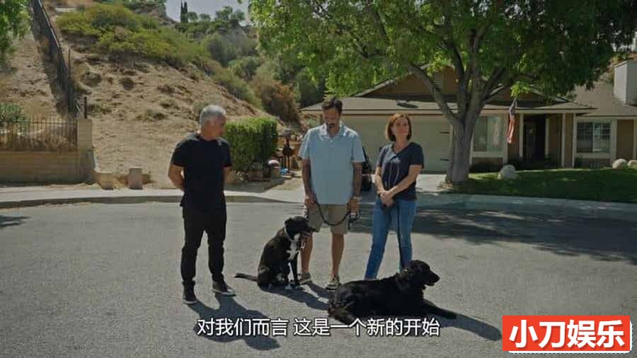 国家地理宠物狗训练纪录片《西泽教官狗主人训练班 Cesar Millan: Better Human Better Dog 2023》第2季全12集 英语多国中字 官方纯净版 1080P/MKV/28.5G插图