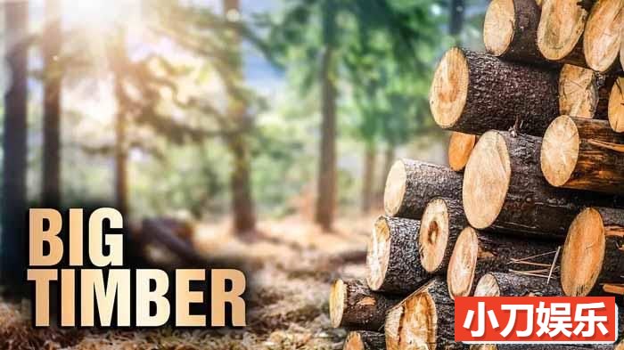 Netflix砍伐技能纪录片《终极伐木达人 Big Timber 2020》第1季全10集 英语多国中字 官方纯净收藏版 1080P/MP4/21.6G 伐木达人插图