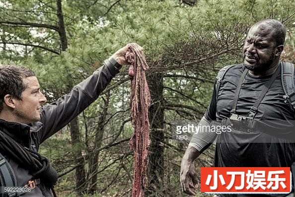 贝爷荒野求生纪录片《越野千里 Running Wild With Bear Grylls》第三季全10集 720P/ 1080i高清纪录片插图1