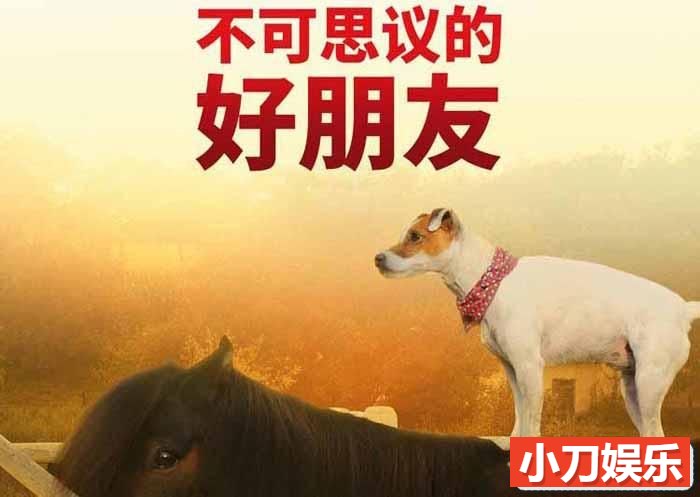 国家地理跨物种友谊纪录片《不可思议的好朋友 Unlikely Animal Friends》全3季中字 1080P高清自媒体解说素材插图