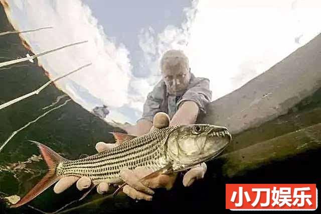 动物星球捕鱼纪录片《河中巨怪 River Monsters》第7季中字 1080P高清自媒体解说素材插图