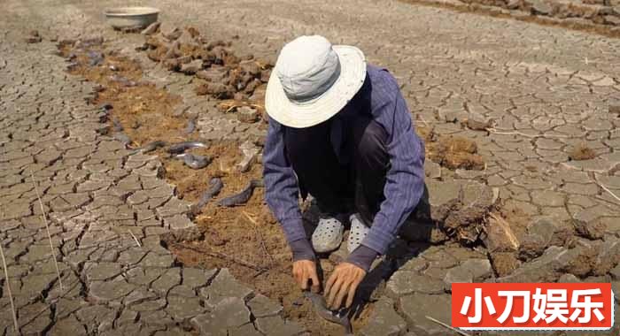 捕鱼纪录片《旱地挖鱼》第2季原版无字 4K高清自媒体解说素材插图