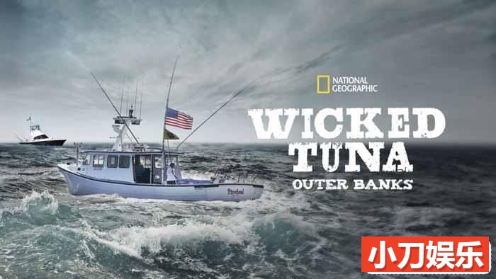 捕捞蓝鳍金枪鱼纪录片《捕鱼生死战番外篇 Wicked Tuna Outer Banks》第1-7季原版无字 720P/1080i高清纪录片插图