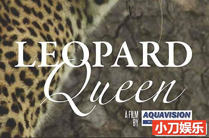 非洲野生动物纪录片《花豹女王 Leopard Queen》全1集中字 TS/蓝光高清纪录片插图