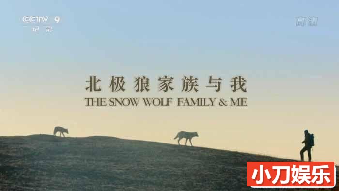 央视自然生态纪录片《北极狼家族与我 Snow Wolf Family and Me》全3集中字 TS/蓝光高清纪录片插图